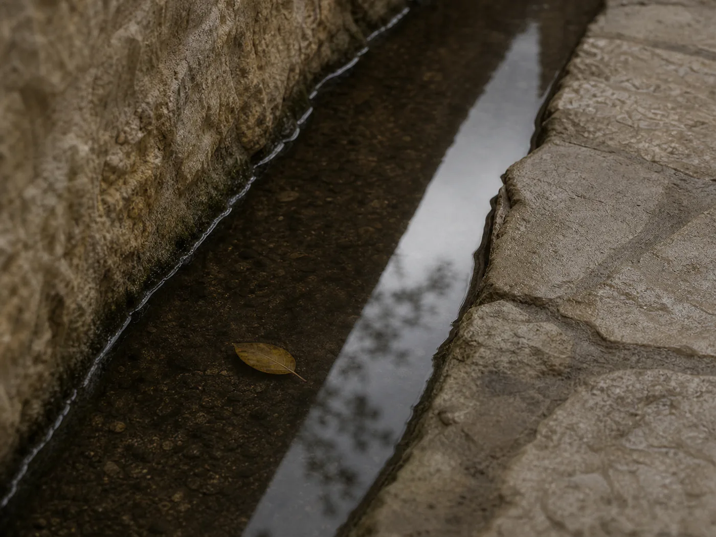 Still water in the courtyard drain after rain.