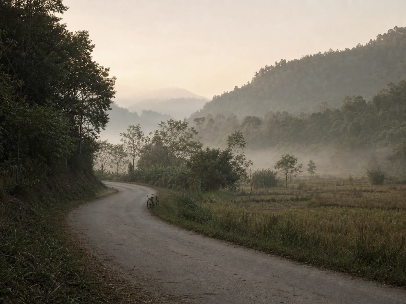 An empty rural road curving between fields at first light.