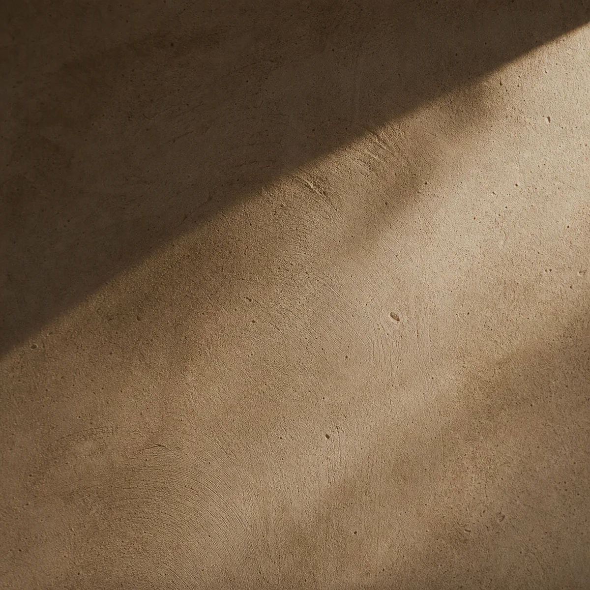 A close view of hand-floated lime plaster, its texture raking in low light.